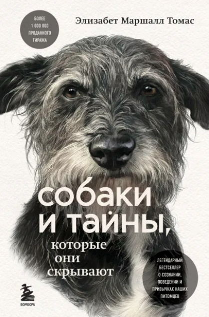 1658003129407-png.26007
